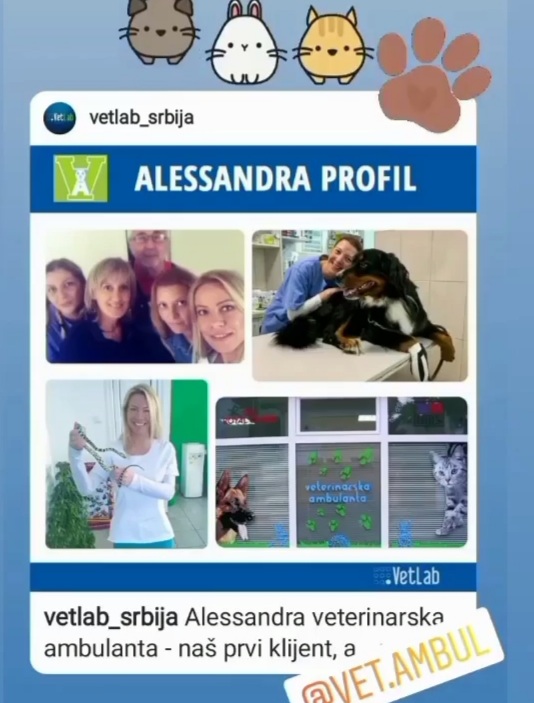 Veterinarska Ambulanta Alessandra (16)